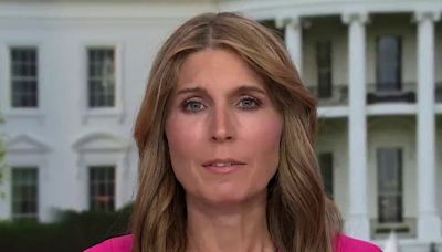 ‘He Kristi Noem’d his campaign’: Nicolle on Trump’s cats and dogs lies have unraveled his campaign