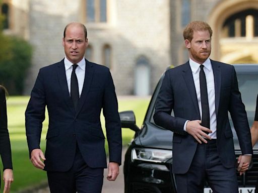 Prince William 'Fears' Harry & Meghan Could Become 'Public Face Of Royal Family' Amid Health Crisis