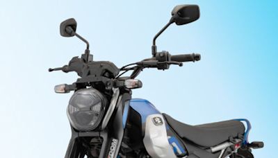 LML owner sues Bajaj Auto over 'Freedom' trademark