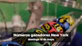 Lotería de Nueva York en vivo: resultados y ganadores del domingo 19 de mayo de 2024 - El Diario NY