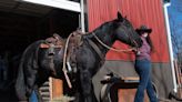 Topeka teen is one of the top riders in the world. Her horse Samson just got a surprise.