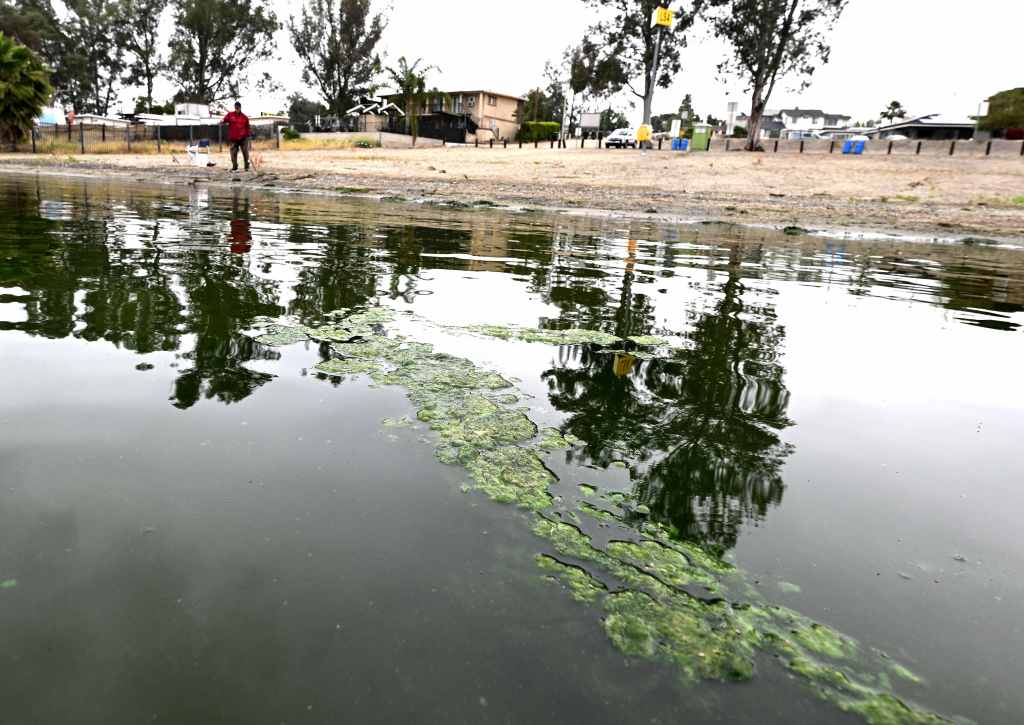 Toxic algae blooms hit Inland Empire lakes, threaten people and pets