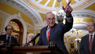 Schumer says senators struggling to reach deal to pass FISA before deadline