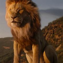 Mufasa | The Lion King (2019 film) Wiki | Fandom