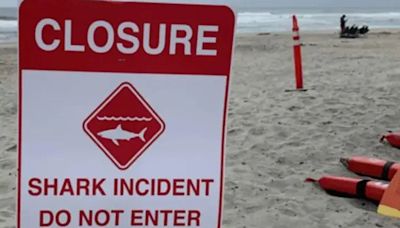 Shark attack off California coast leaves 46-year-man hospitalized, beaches closed