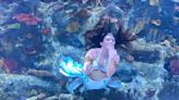 Mermaids returning to Newport Aquarium this month