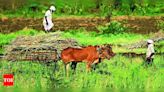 Union Budget allocates Rs 600 crore for irrigation projects in Marathwada and Vidarbha | Aurangabad News - Times of India