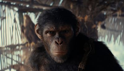 Kingdom of the Planet of the Apes’ ending, explained