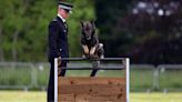 Police dog unit struck with mystery illness amid chronic flooding woes at base