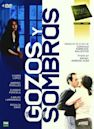 Los gozos y las sombras (TV series)