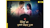 Brands Join the Conversation with Star Plus' Dil Ko Tumse Pyaar Hua on Social Media