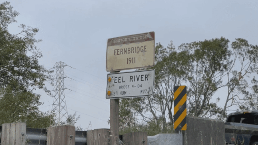 Two dogs died after swimming in the Eel River due to harmful algal blooms