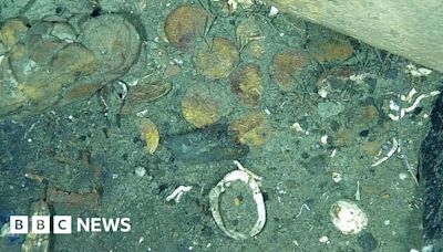 San José galleon: Artefacts found on Colombian coast shipwreck