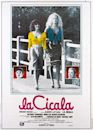 La cicala