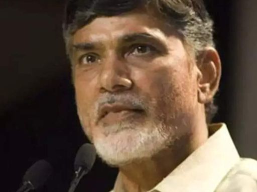 Maharashtra, Jharkhand also would yield same results: Chandrababu Naidu on Haryana poll outcome