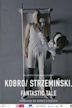 Kobro/Strzeminski. A Fantastic Tale