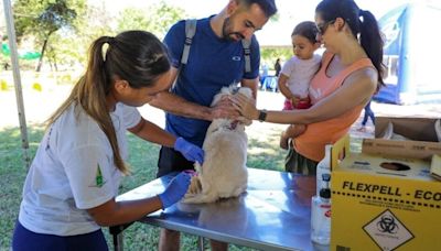 Julho Dourado levanta a importância de vacinar os pets e prevenir zoonoses