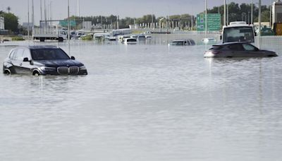 Floods and climate change blamed for surge in dengue in the Emirates as WHO warns of global spike