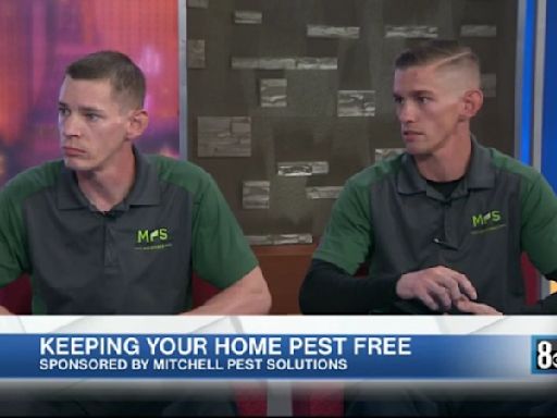 Keeping Your Home Pest Free with Mitchell Pest Solutions