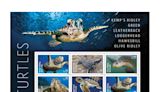 Postal Service Makes a Splash With New Sea Turtles Stamps