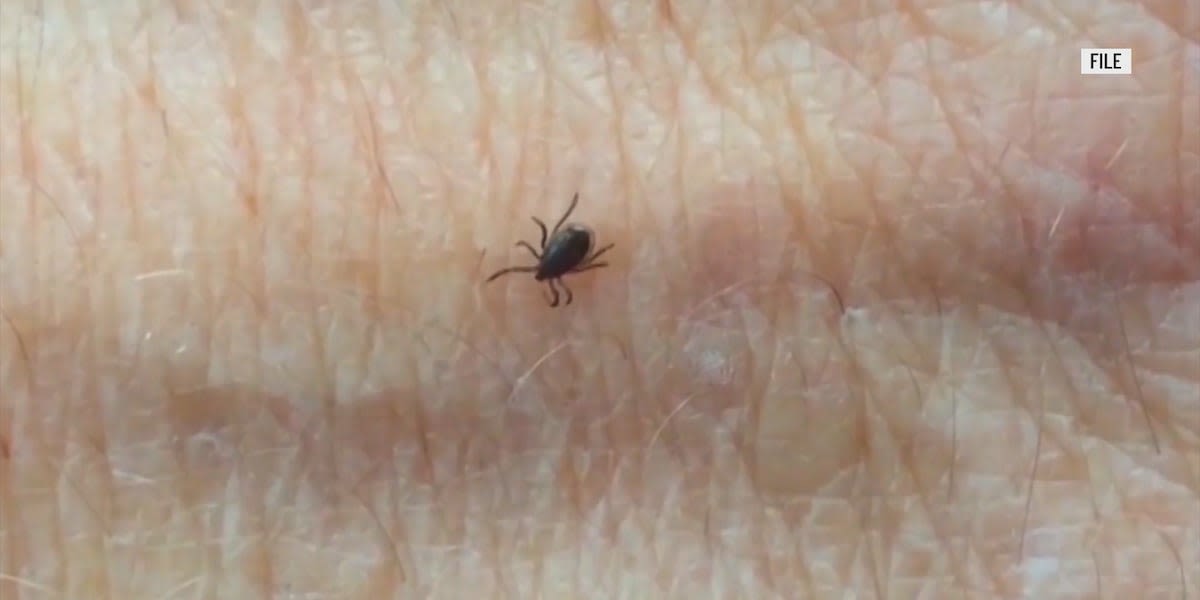 West Virginia Department of Health urges residents to protect against Lyme disease