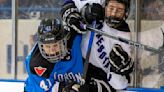 PWHL's 1st season coincides with appetite for women's sports