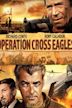 Operation Cross Eagles