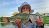 Freshwater: Hot weather has slowed panfish bite, but the bass bite is steady