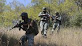 Another infiltration attempt foiled on LoC, two terrorists killed in Keran sector of Kashmir