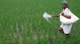 Fertiliser stocks FACT, RCF, GSFC and others jump up to 20% on MSP hike