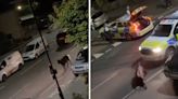 Police investigating cow ramming incident say they have visited 500 premises as probe continues five weeks on