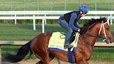 Epic Ride gets a shot at the garland of roses in the Kentucky Derby