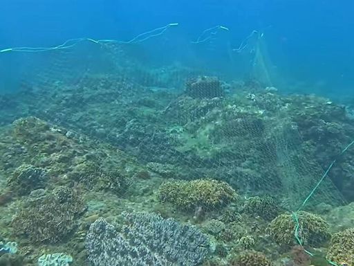 墾丁珊瑚產卵季驚見海底大漁網 潛水界直呼「太諷刺！」