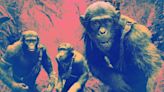 Why Do People Keep Seeing the ‘Planet of the Apes’ Movies?