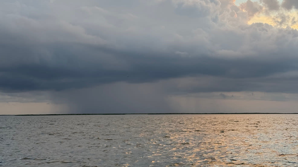 The Weather Authority: Elevated rain chances through next week