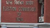 Action taken in 3 booth capturing complaints in 2024 polls: EC