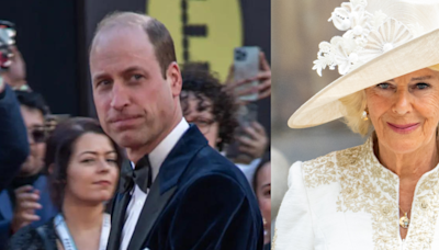 Prince William Reportedly 'Couldn't Stand' Stepmom Camilla As She 'Destroyed' His Parents' Marriage