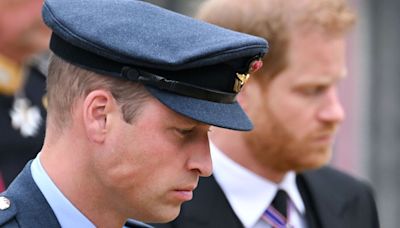 Prince Harry 'removed startling Spare content for William'