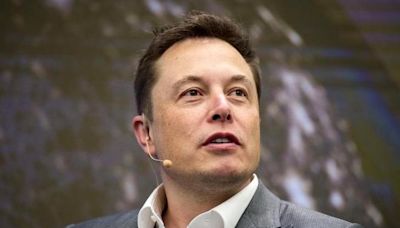 Elon Musk halts investment plans in India: Bloomberg report