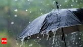 IMD forecasts moderate rain falling in Delhi; minimum temperature slightly elevated | Delhi News - Times of India