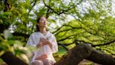 Stressed and Overwhelmed? Unwind Naturally by Forest Bathing