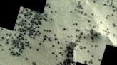 Shocking Image Shows Mars Is Crawling With Spiders And It Will Bug You Out