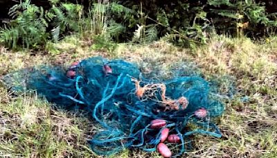 Fisheries officers in poaching blitz on Donegal river as nets seized - Donegal Daily