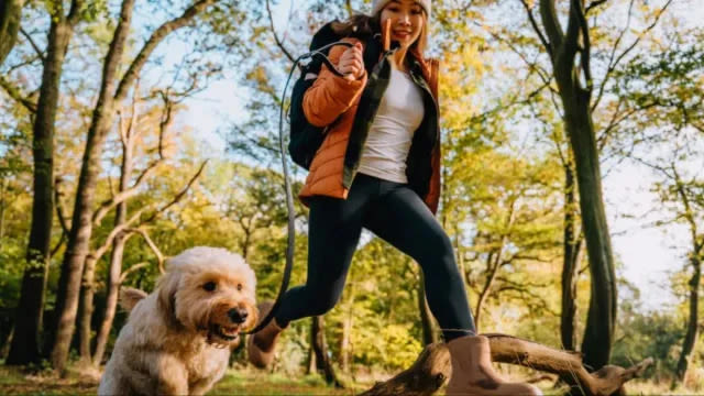 Hiking With Dogs: Trail Hazards To Watch Out for During Summer