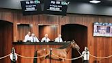 $550K Nyquist Colt Tops Day 3 of the OBS Spring Sale