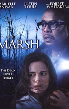 The Marsh