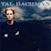 Tal Bachman