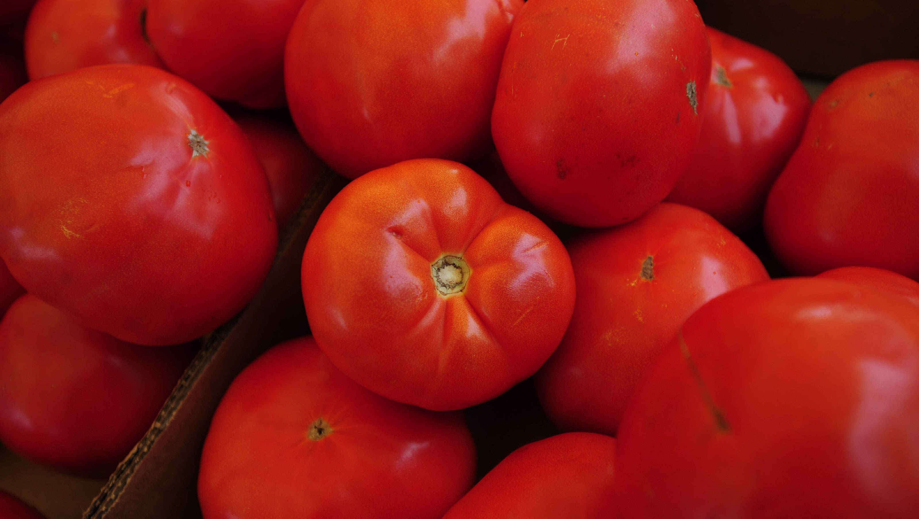 Here's why Jersey tomatoes are so good