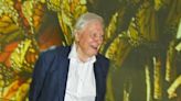 David Attenborough faz 98 anos esta quarta-feira, mas não conhece a palavra reforma
