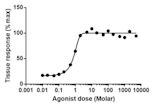 Dose–response relationship